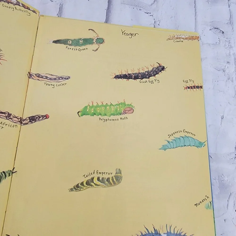 Velma Gratch and the Way Cool Butterfly Hardcover  Book by Alan Madison and Kevi